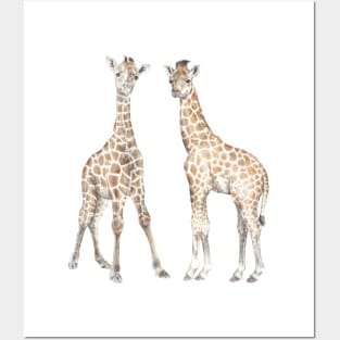 Giraffes Posters and Art